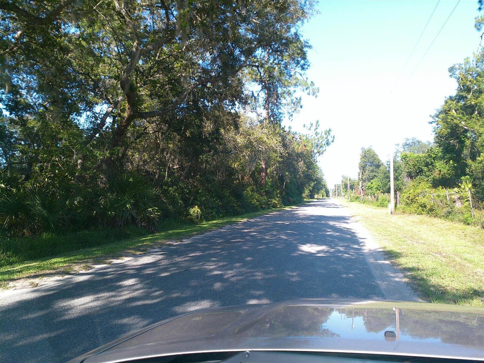 Photo #21