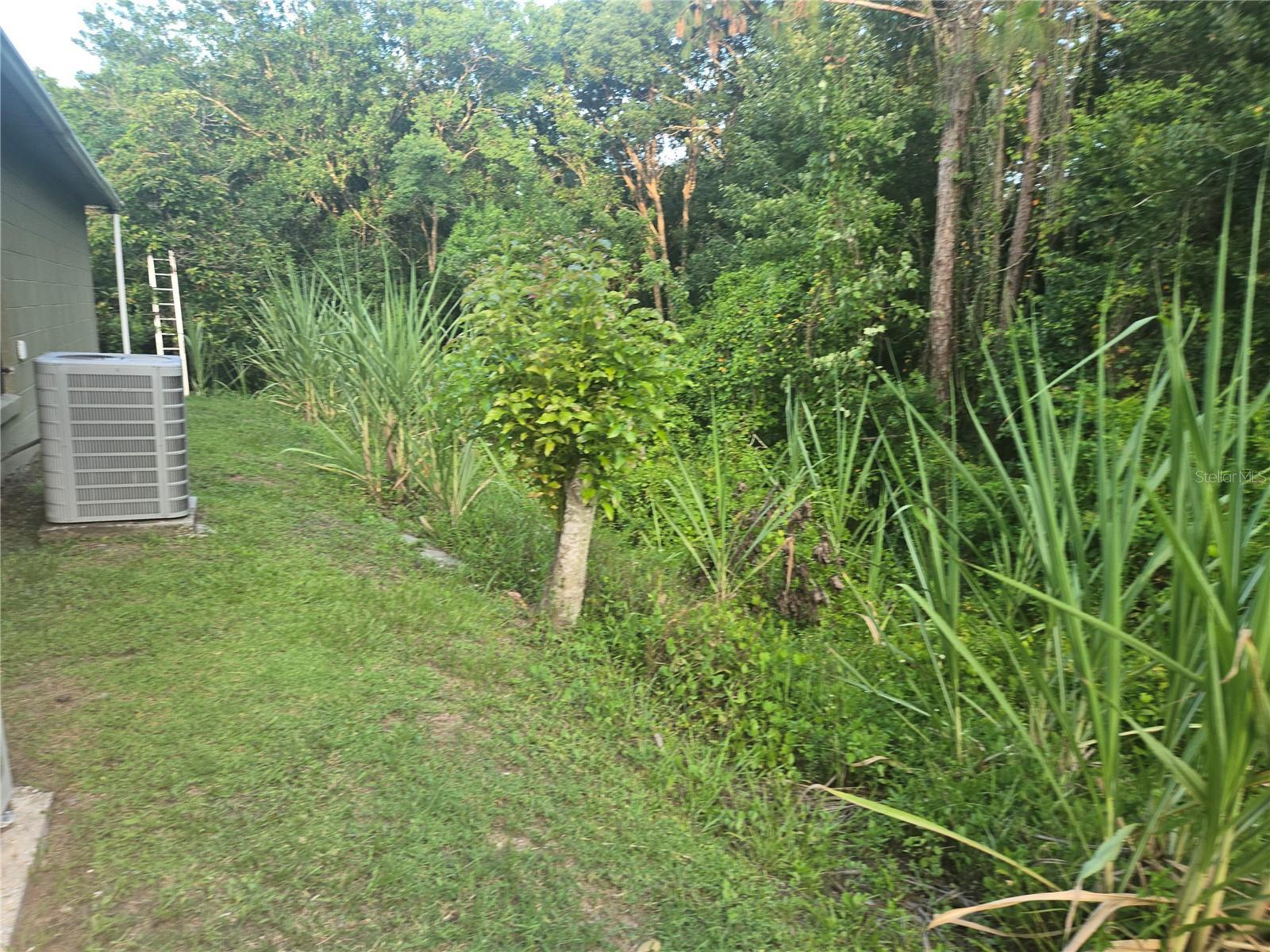 Photo #3