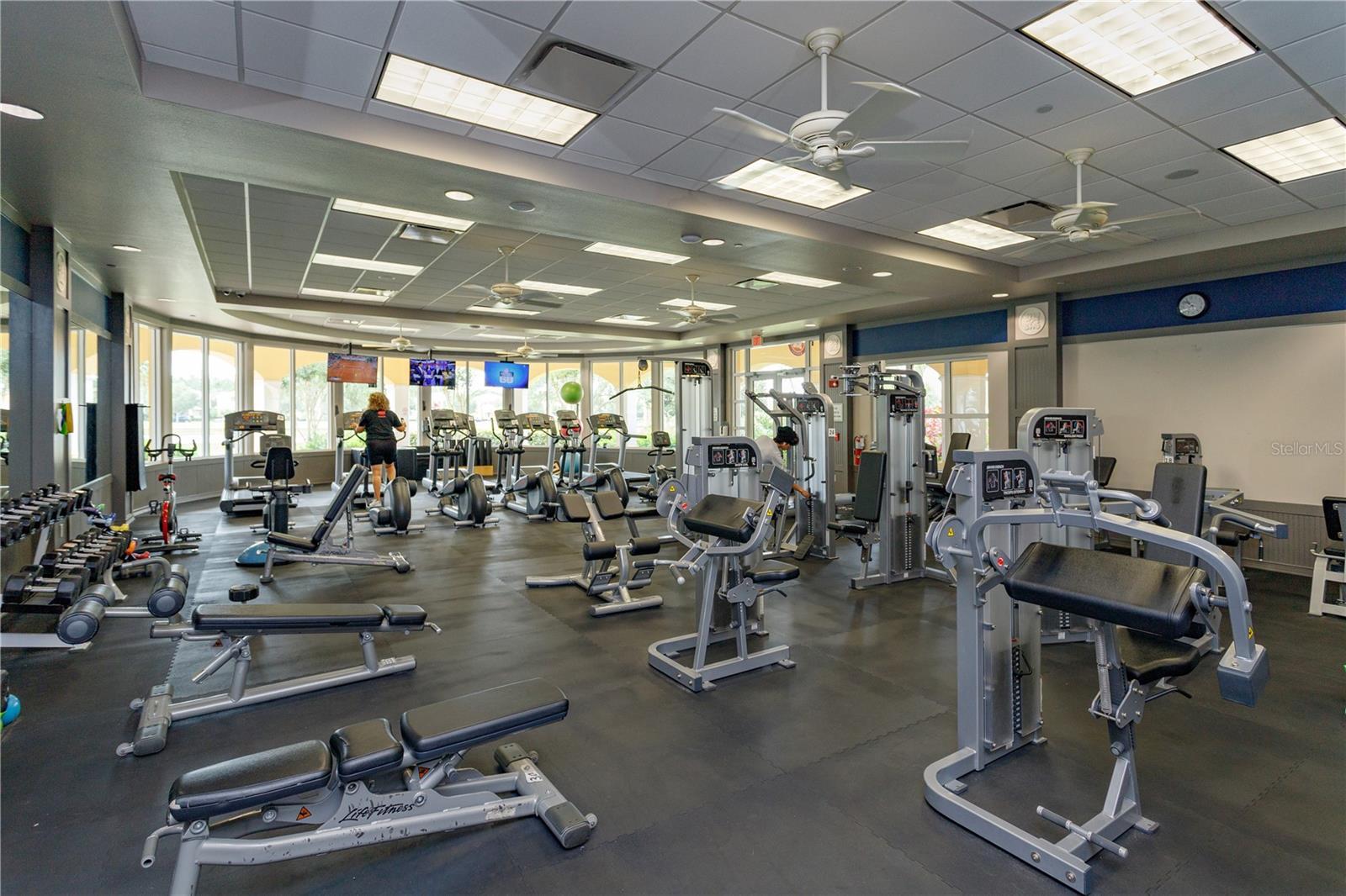 Photo #42