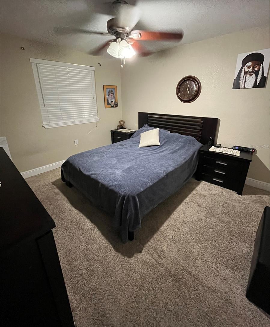 Photo #19