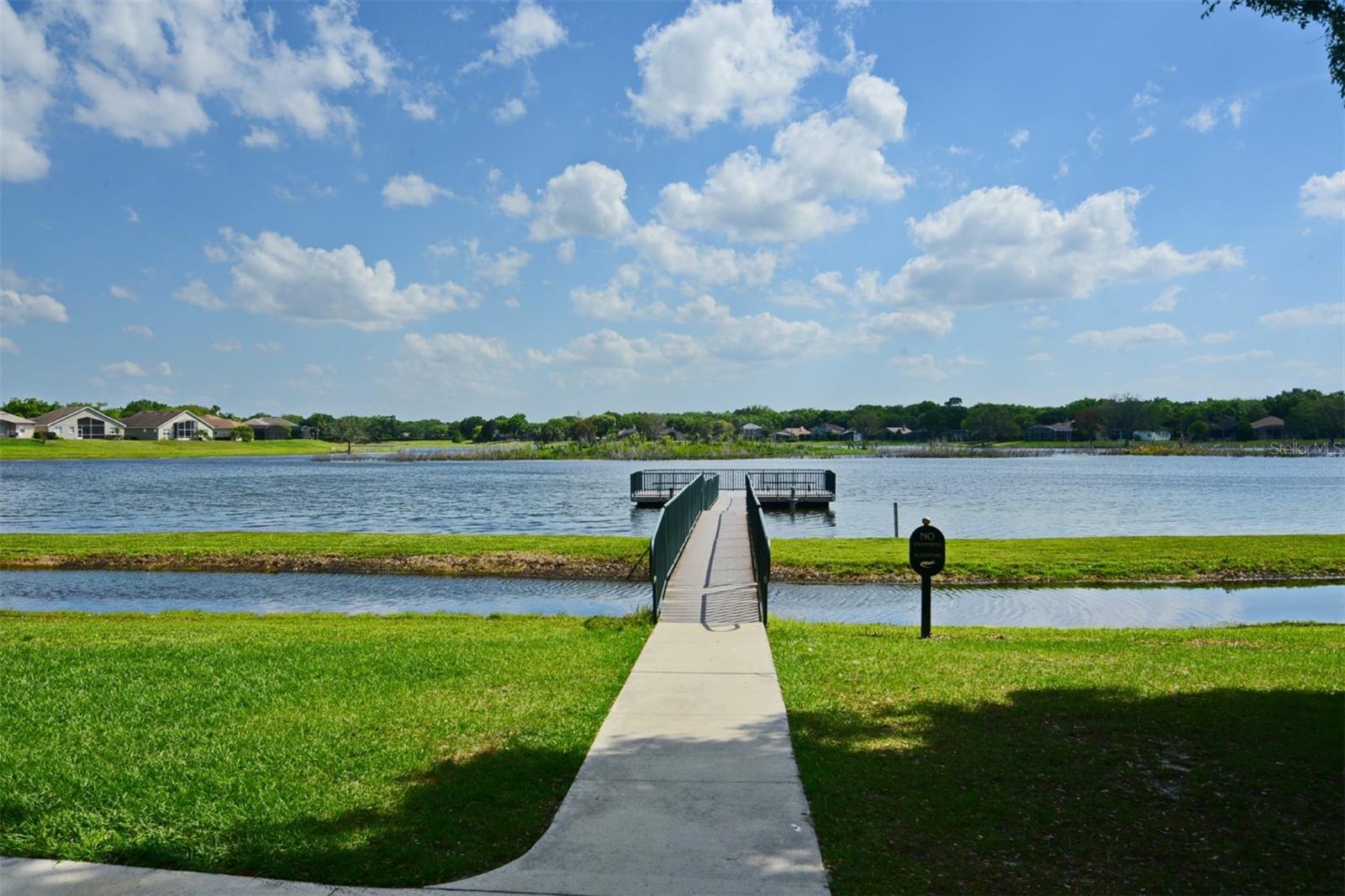 Photo #58