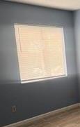 Photo #3