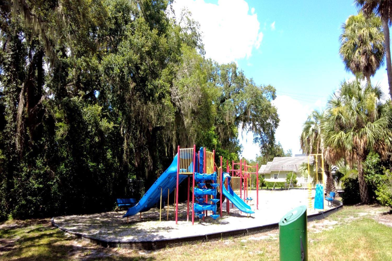 Photo #35