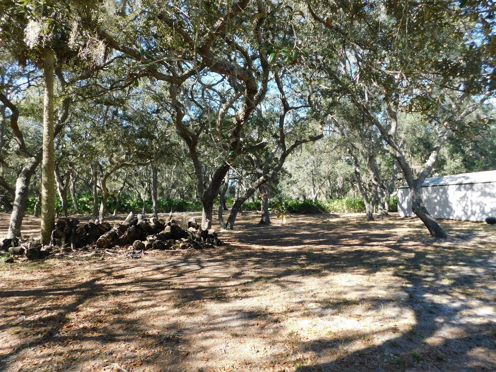 Photo #34