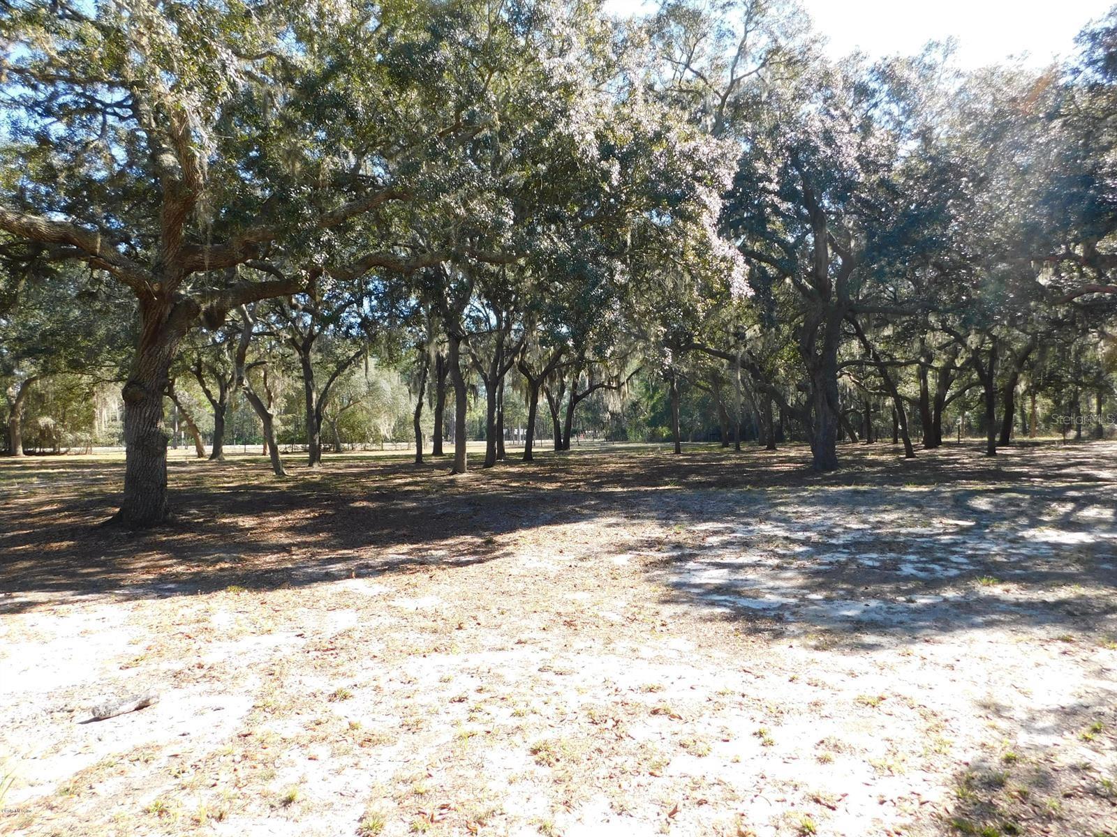Photo #37