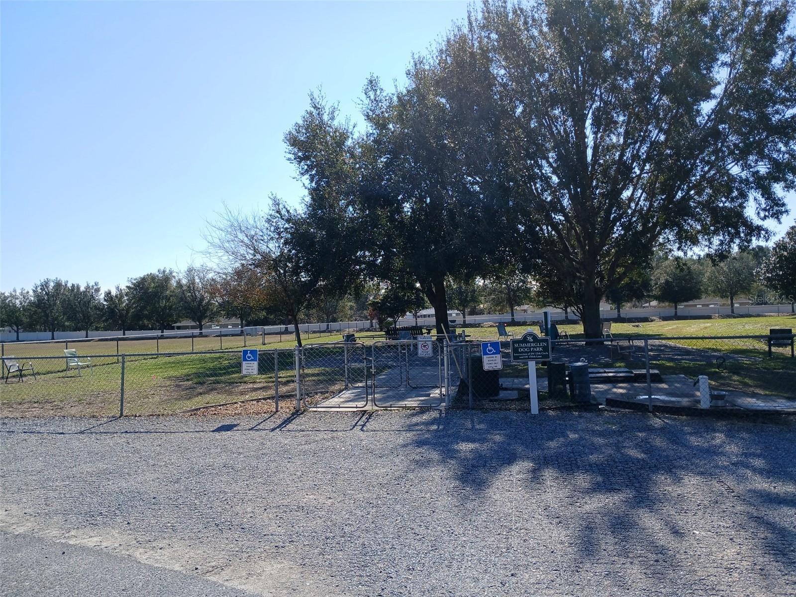 Photo #46