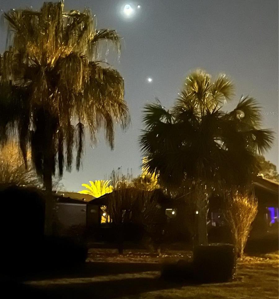 Photo #54