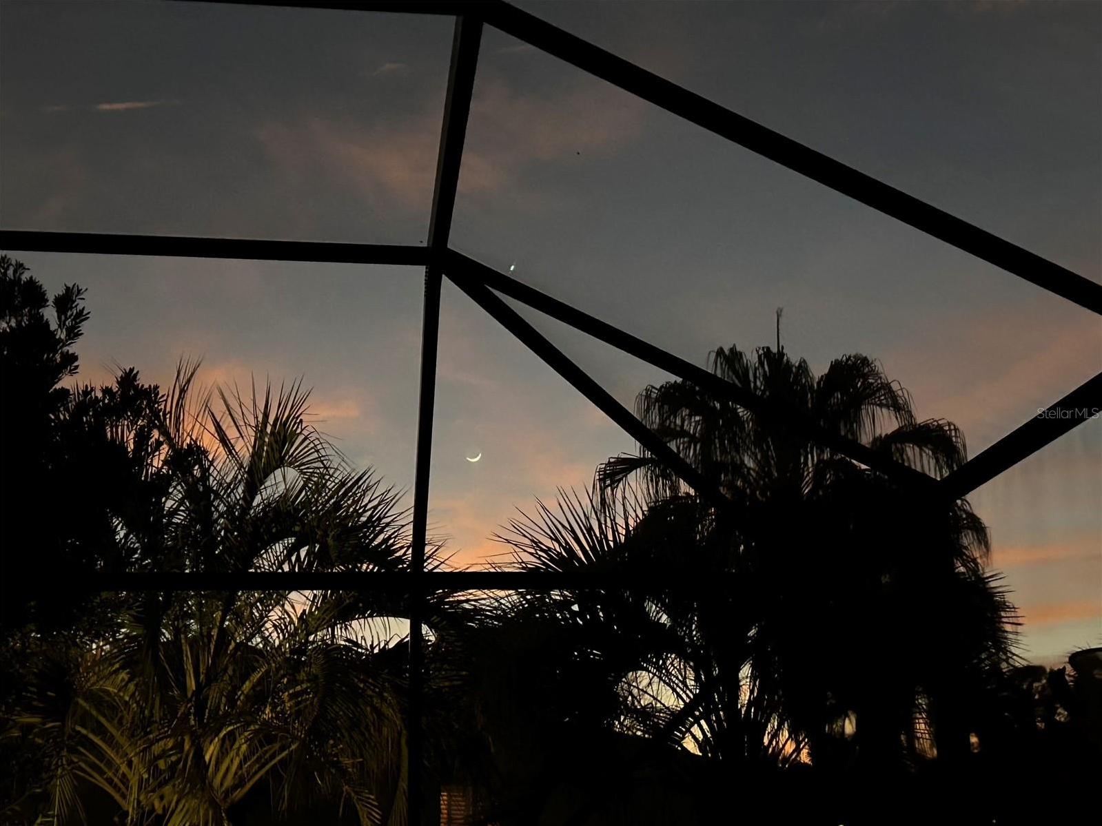 Photo #57