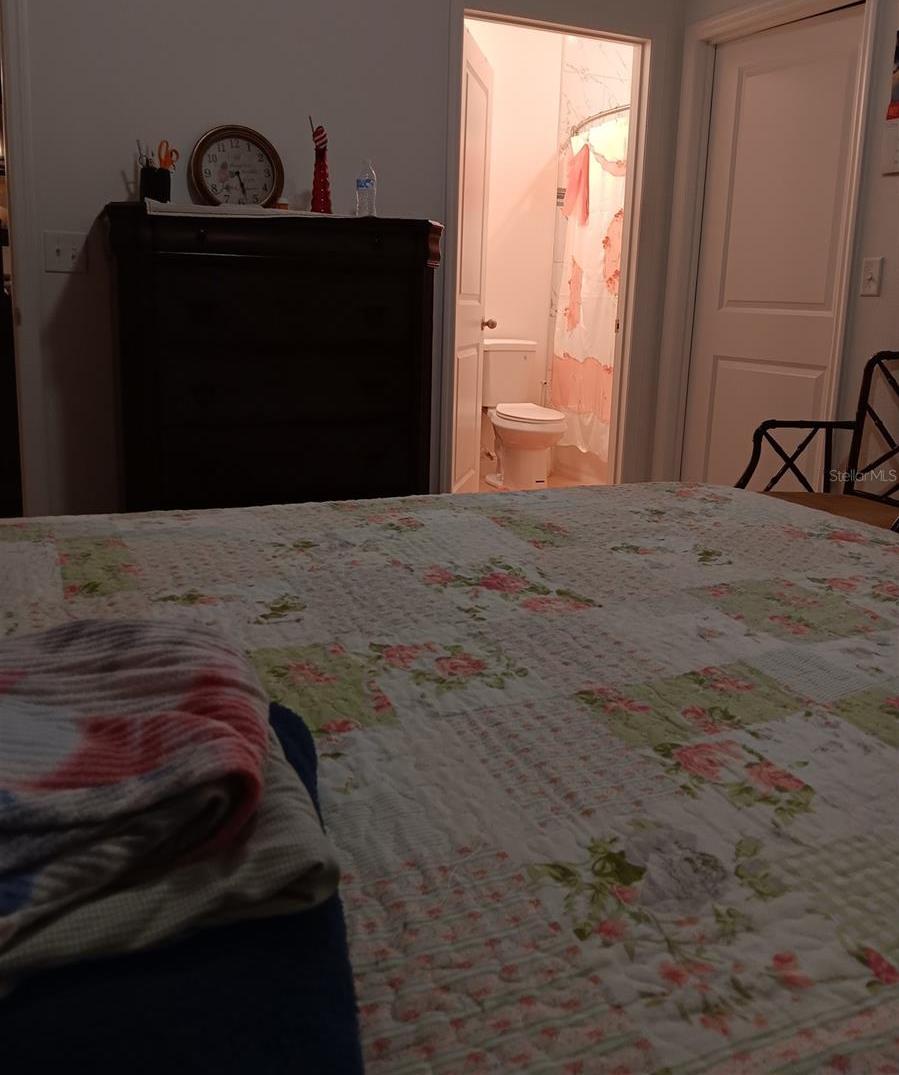 Photo #21
