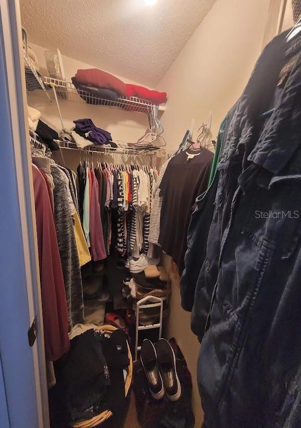 Photo #11
