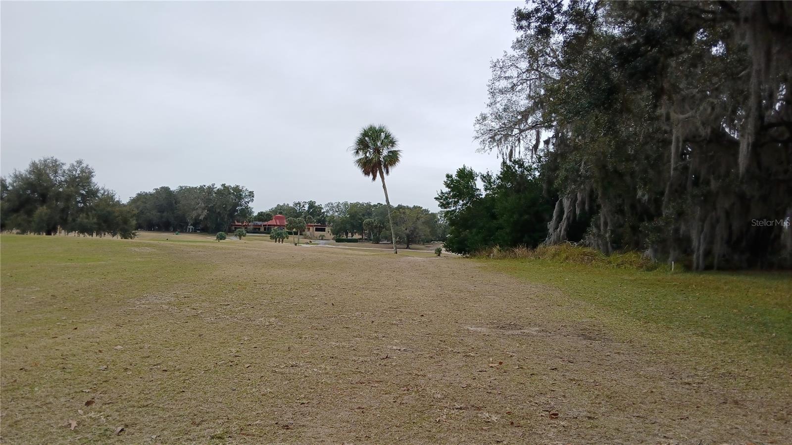 Photo #38