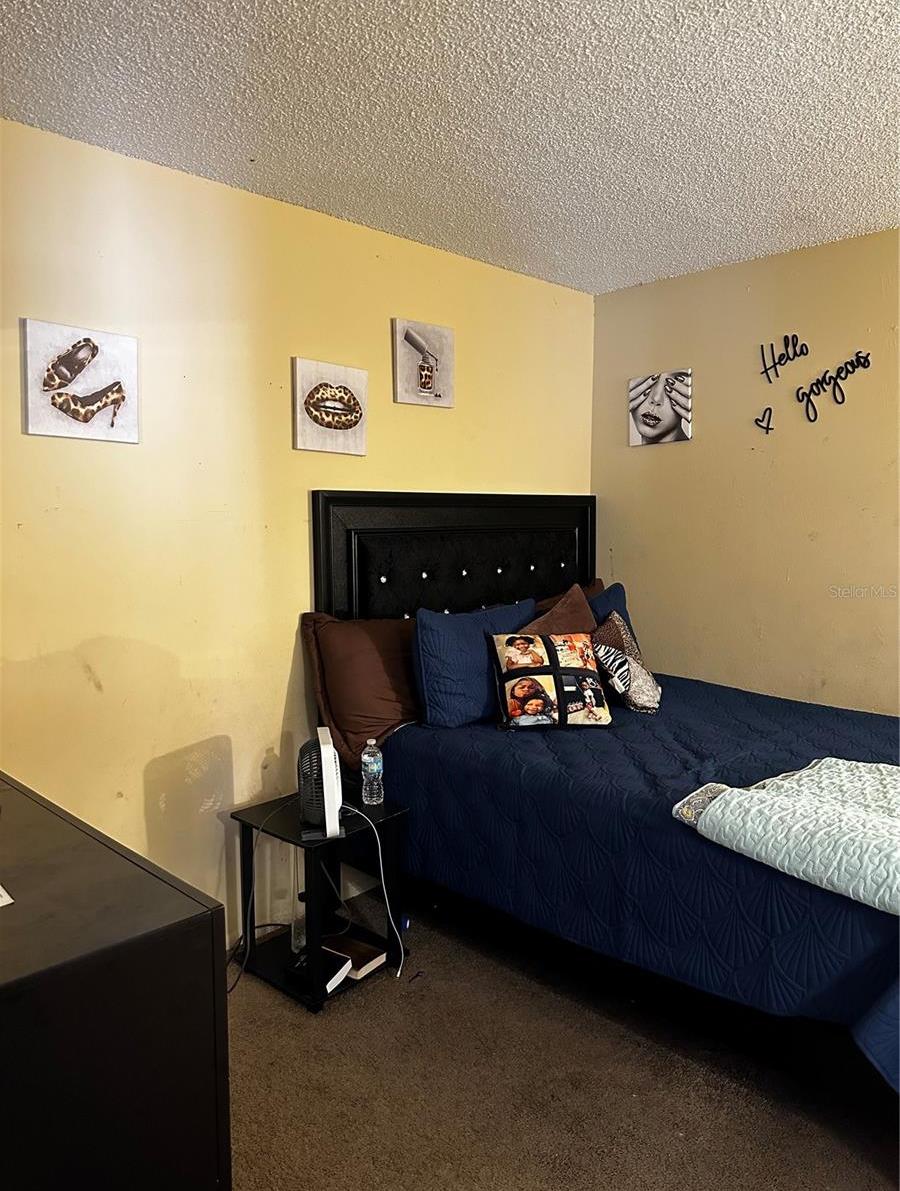 Photo #13