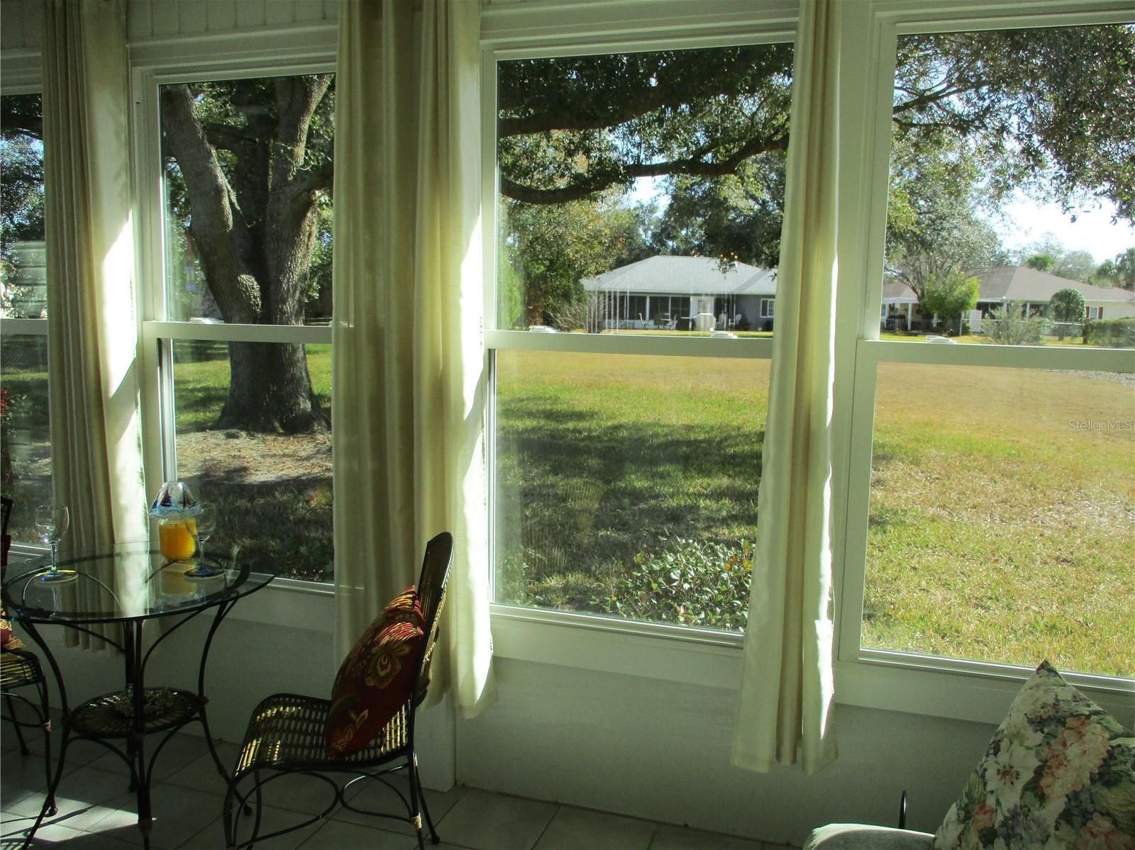 Photo #38