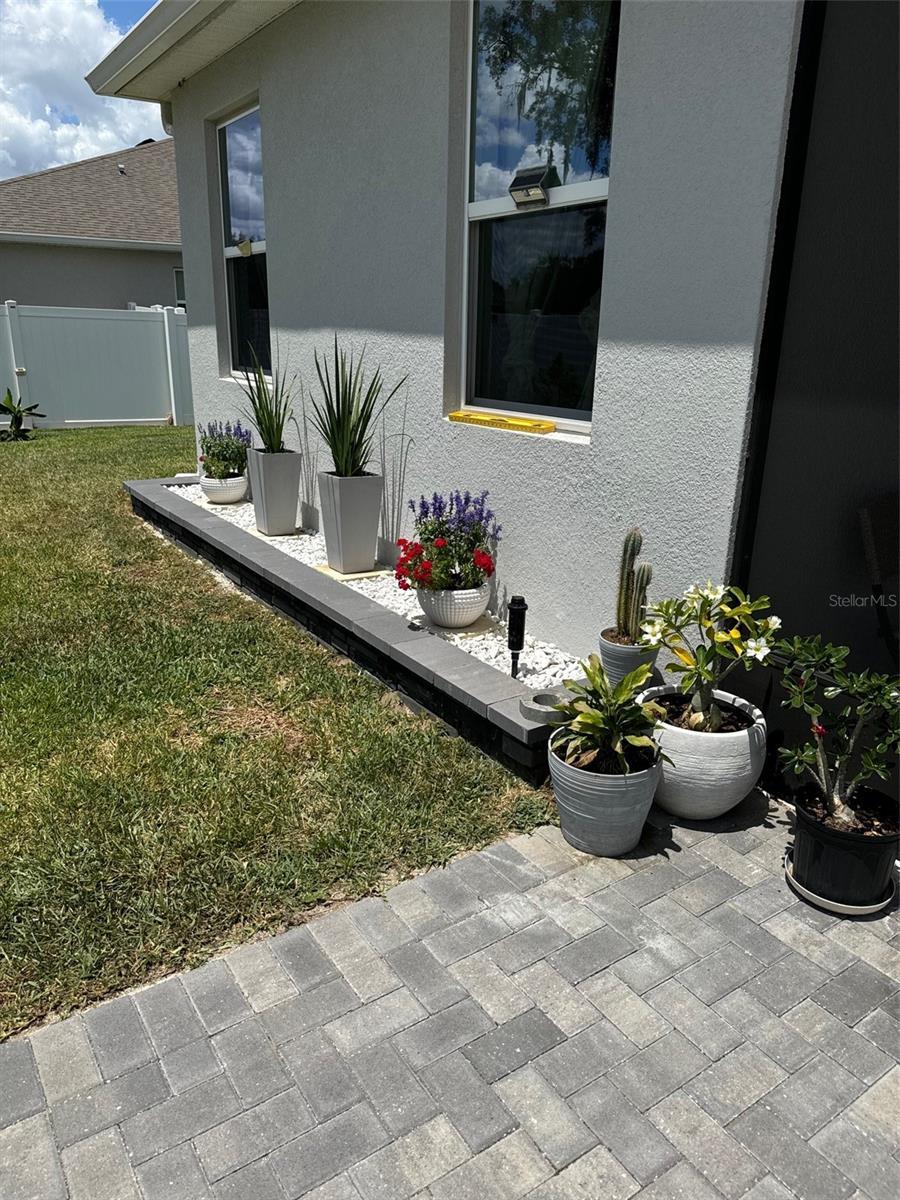 Photo #24