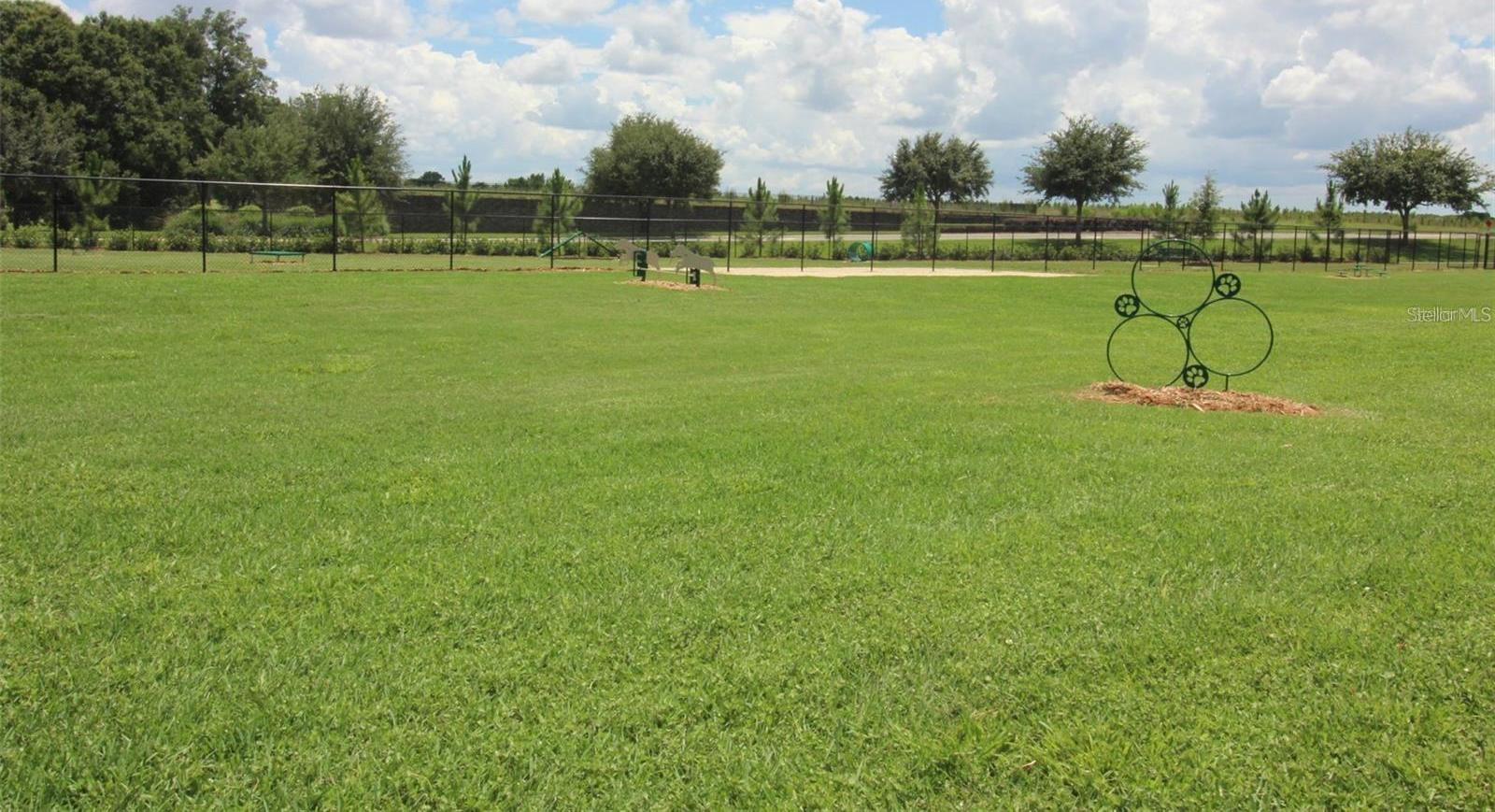 Photo #61