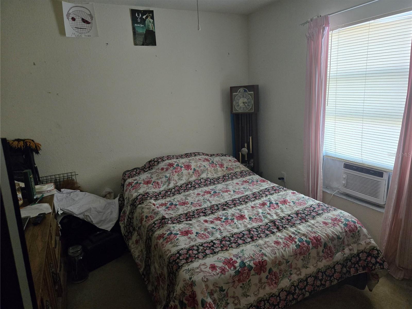Photo #12