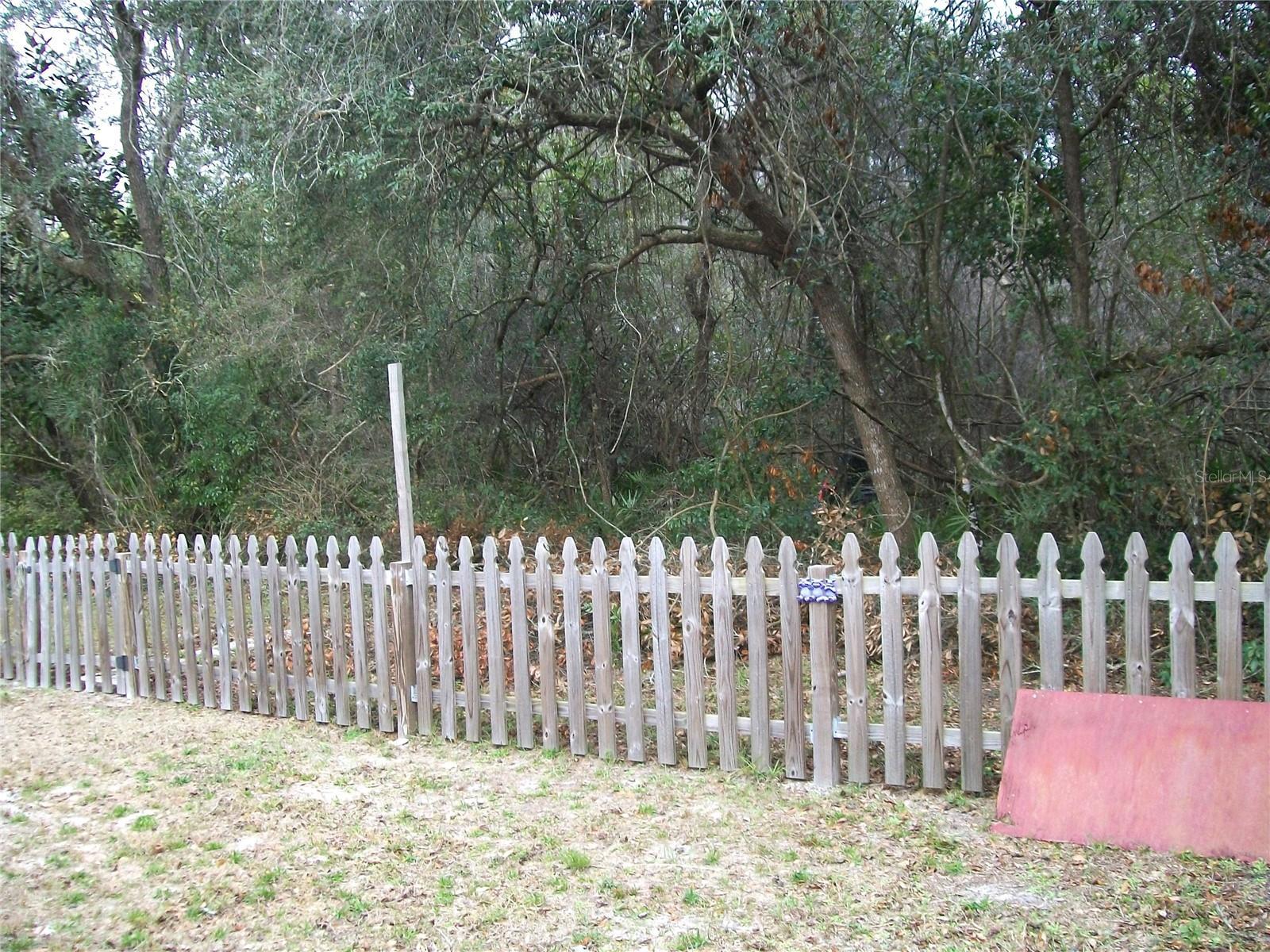 Photo #16