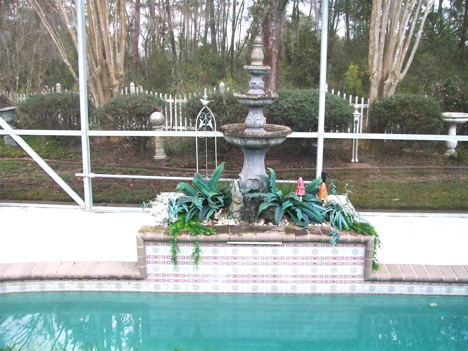 Photo #35