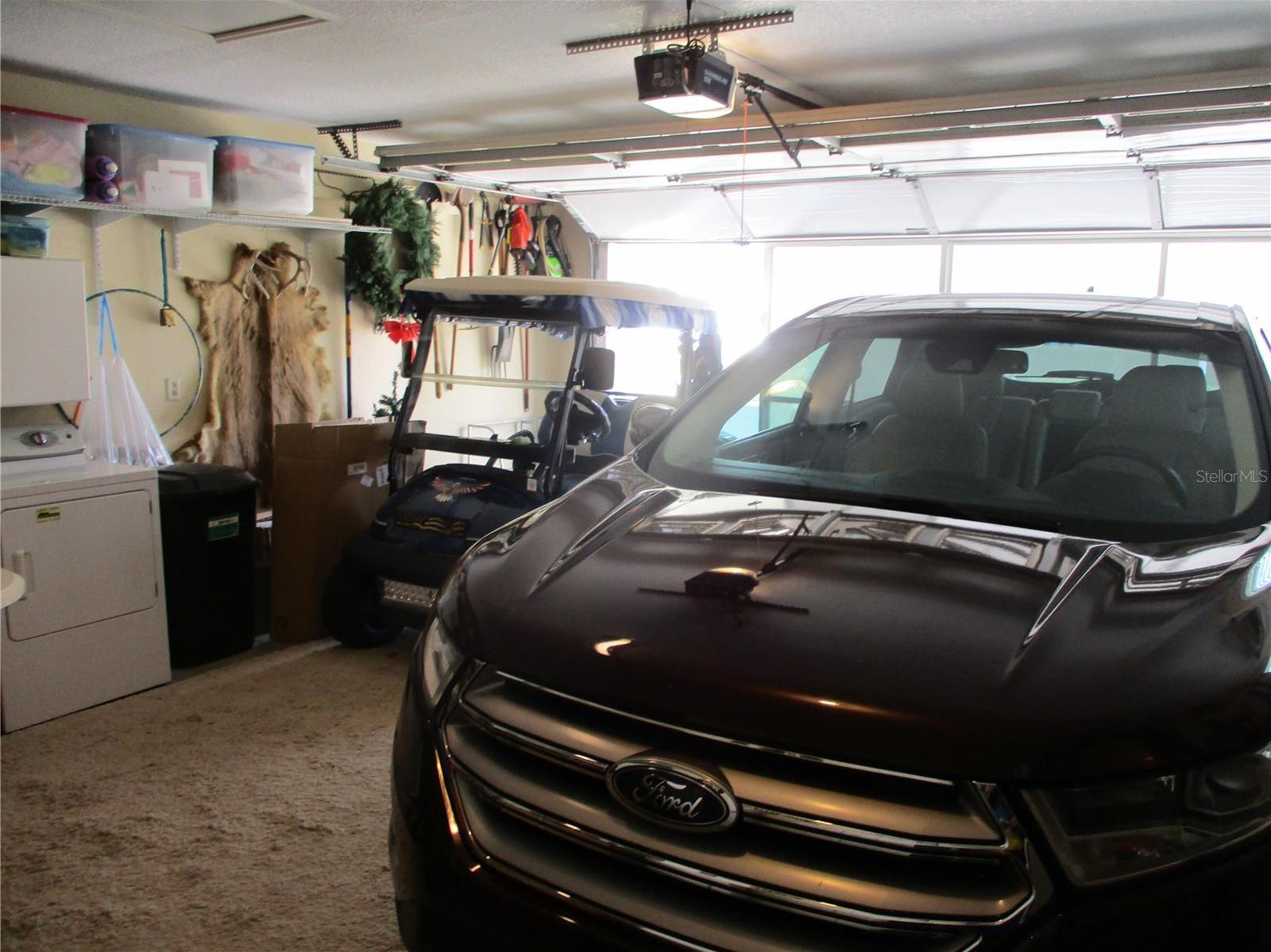 Photo #60
