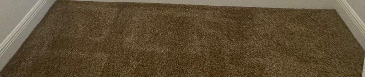 Photo #23