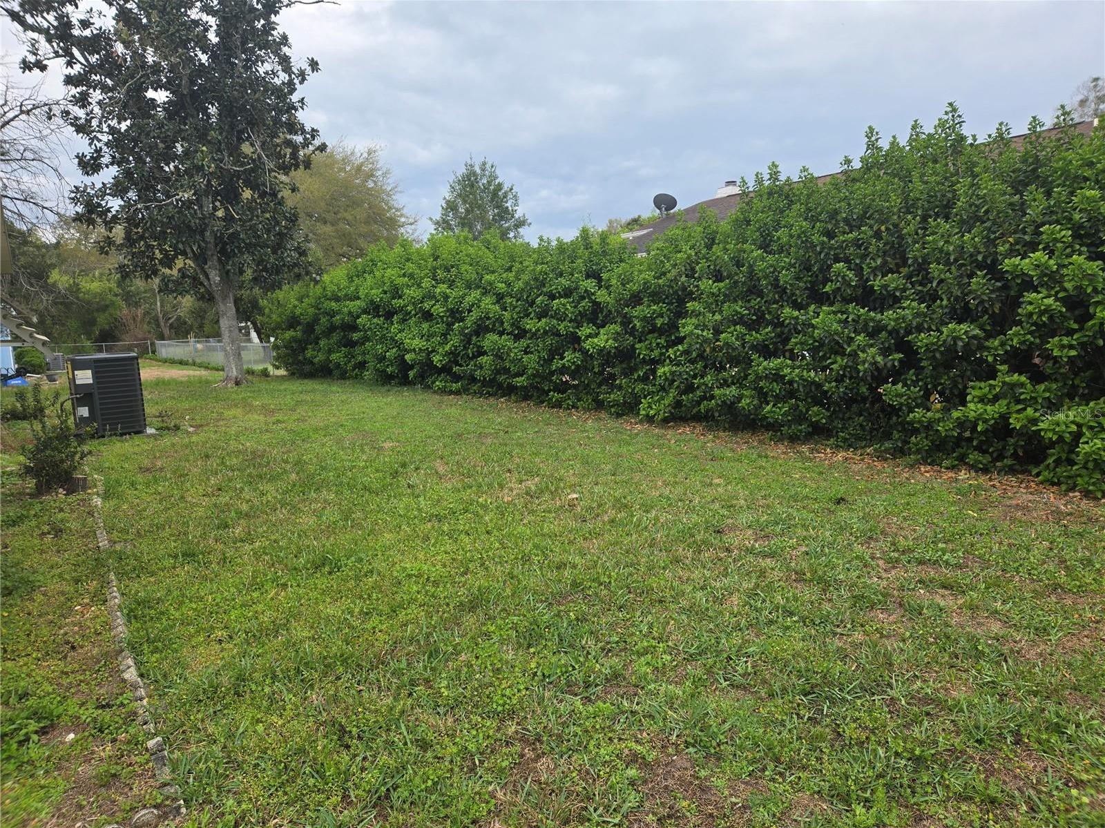 Photo #8