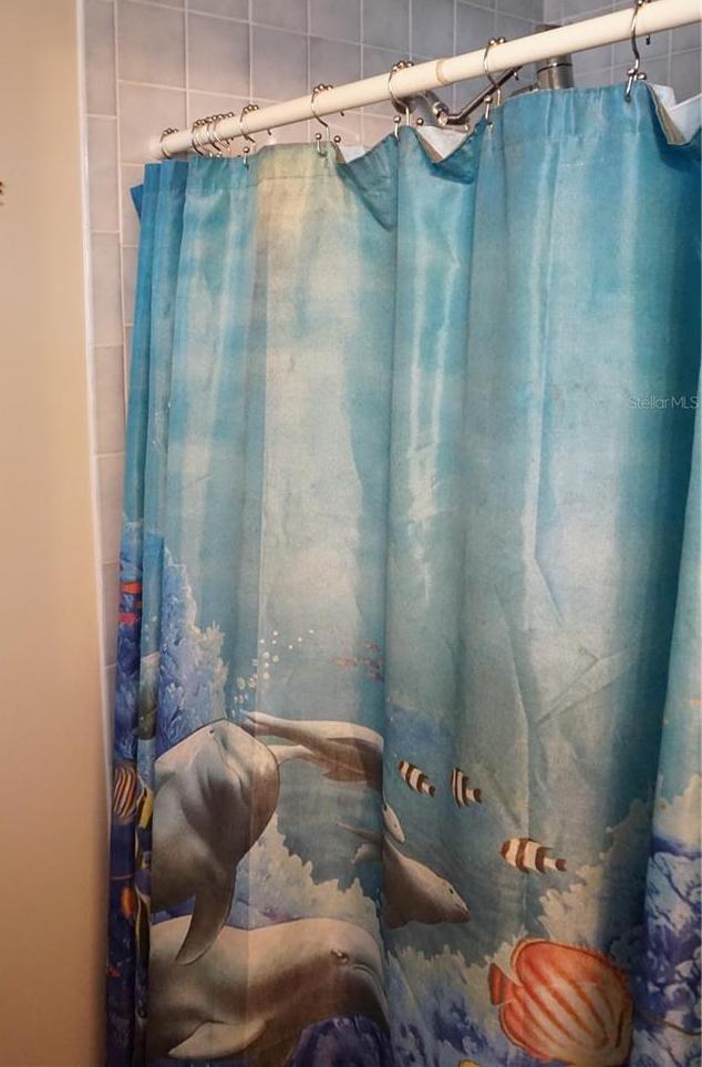 Photo #20