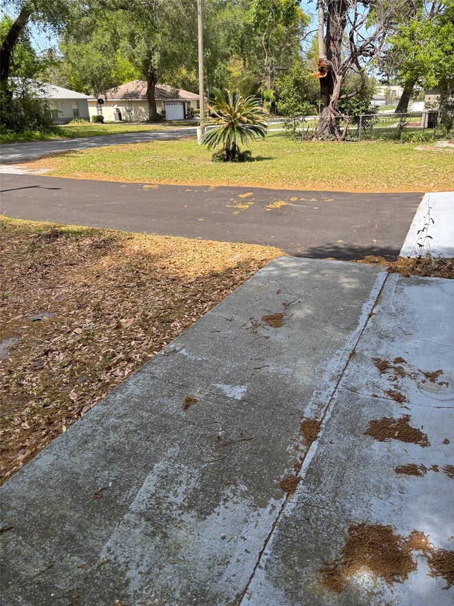 Photo #13