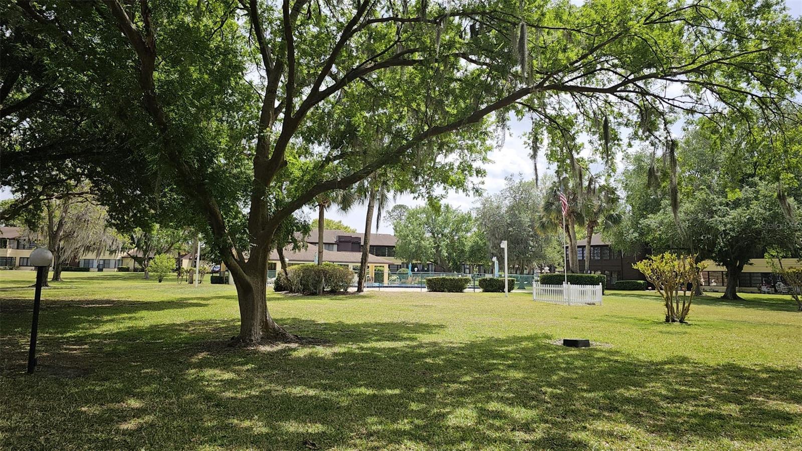 Photo #36