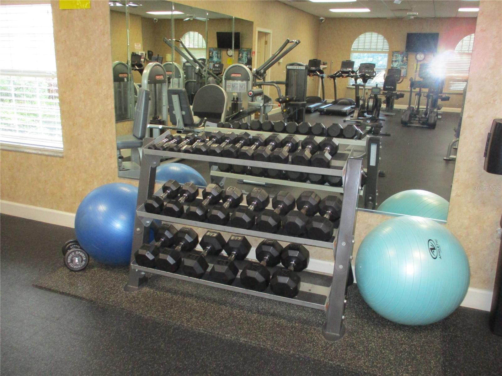 Photo #66