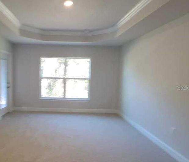 Photo #15