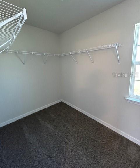 Photo #8