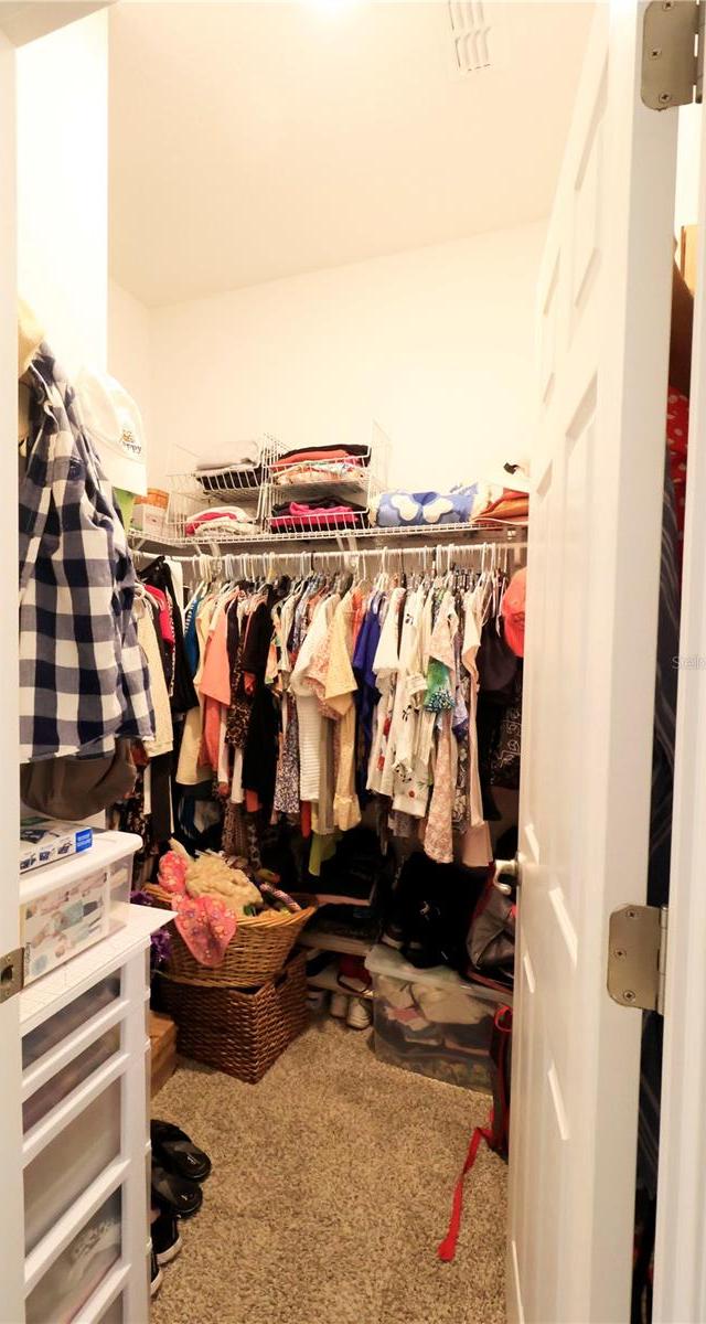 Photo #14