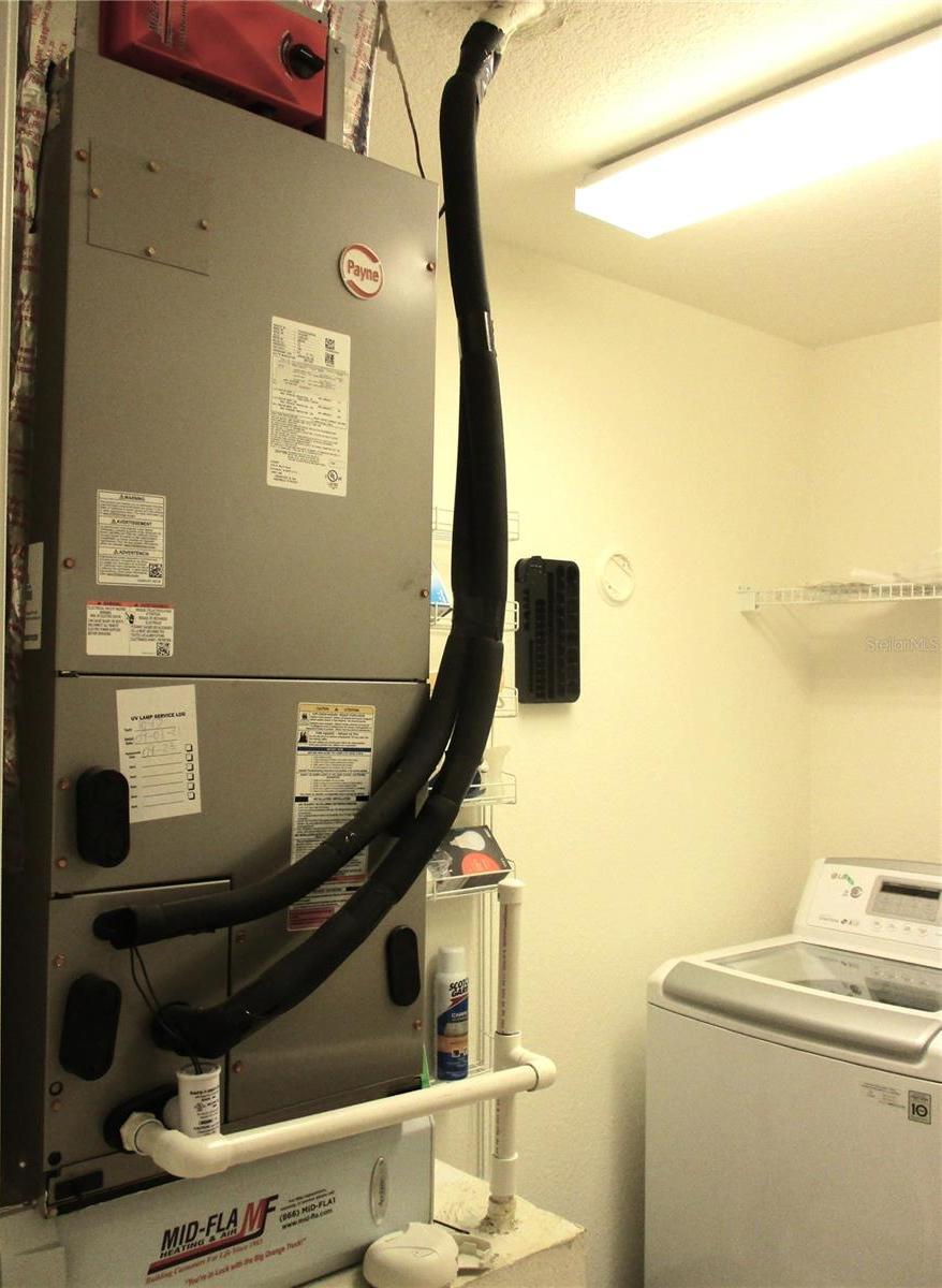Photo #52