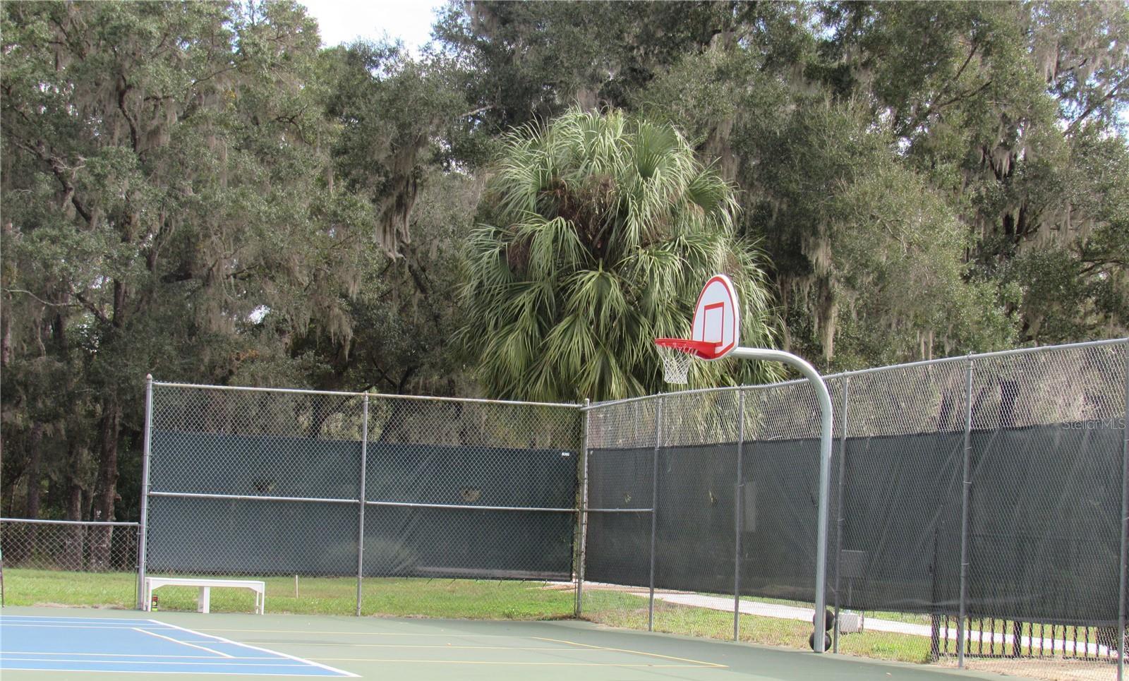 Photo #62
