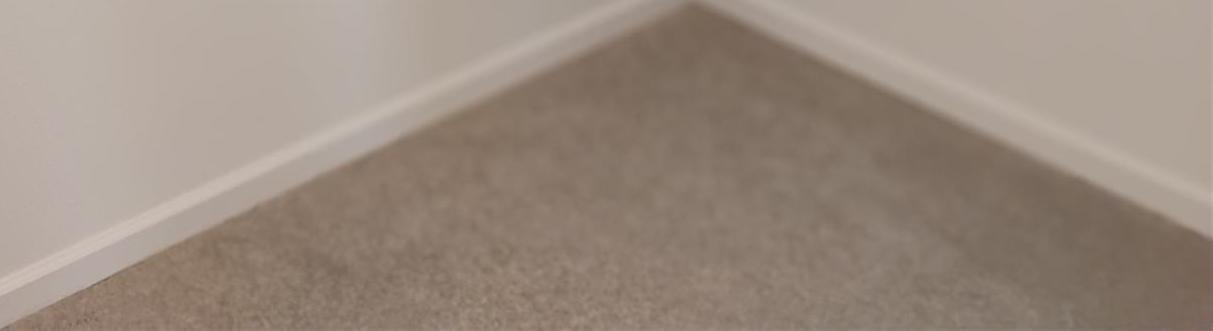 Photo #11