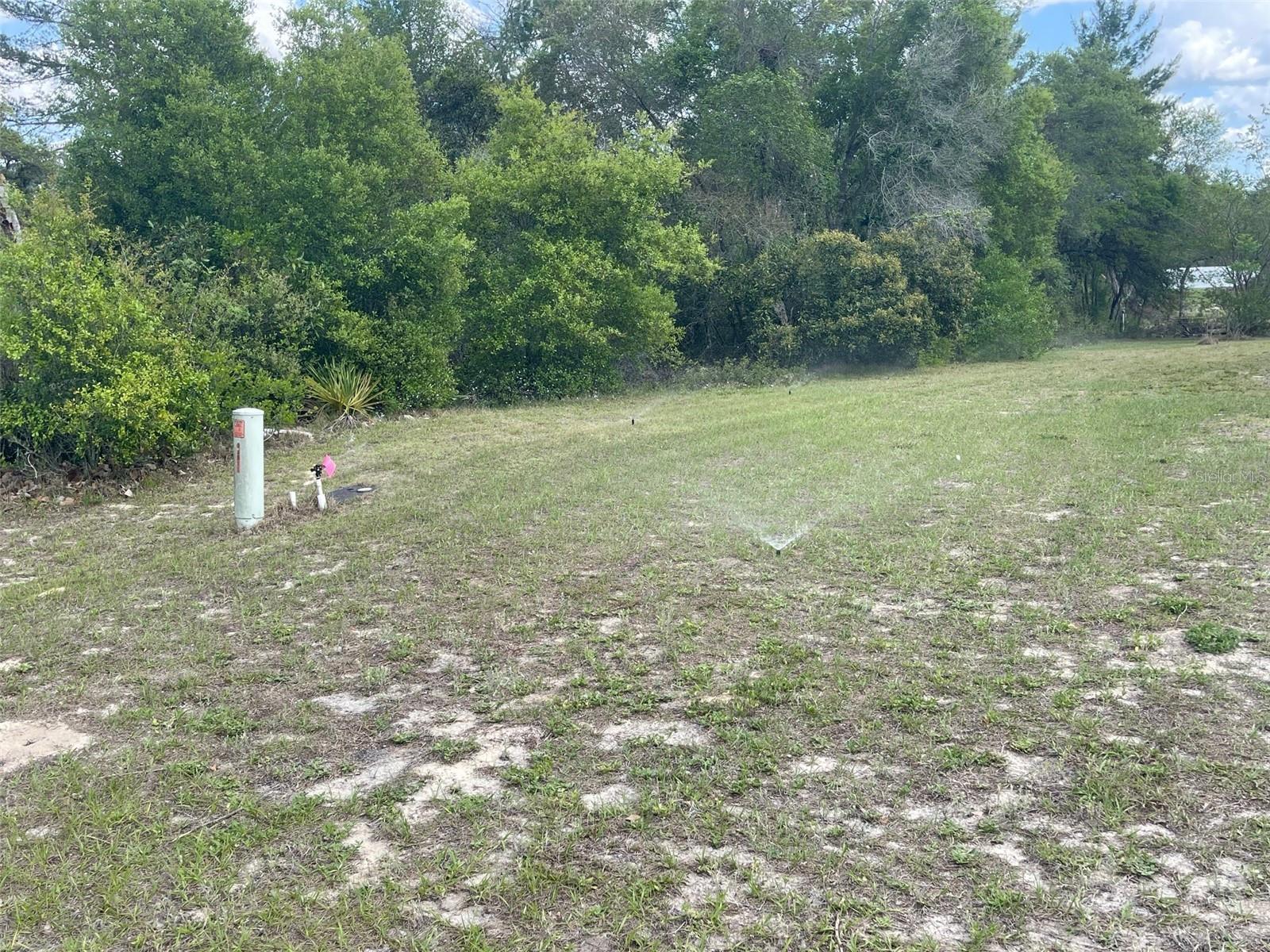 Photo #41