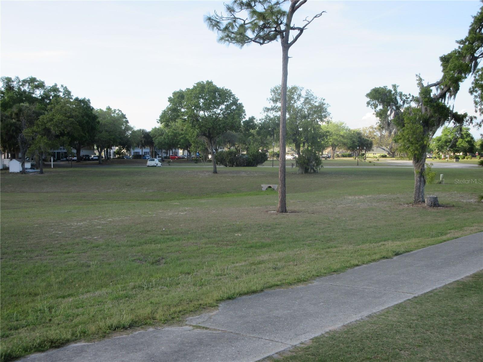 Photo #55