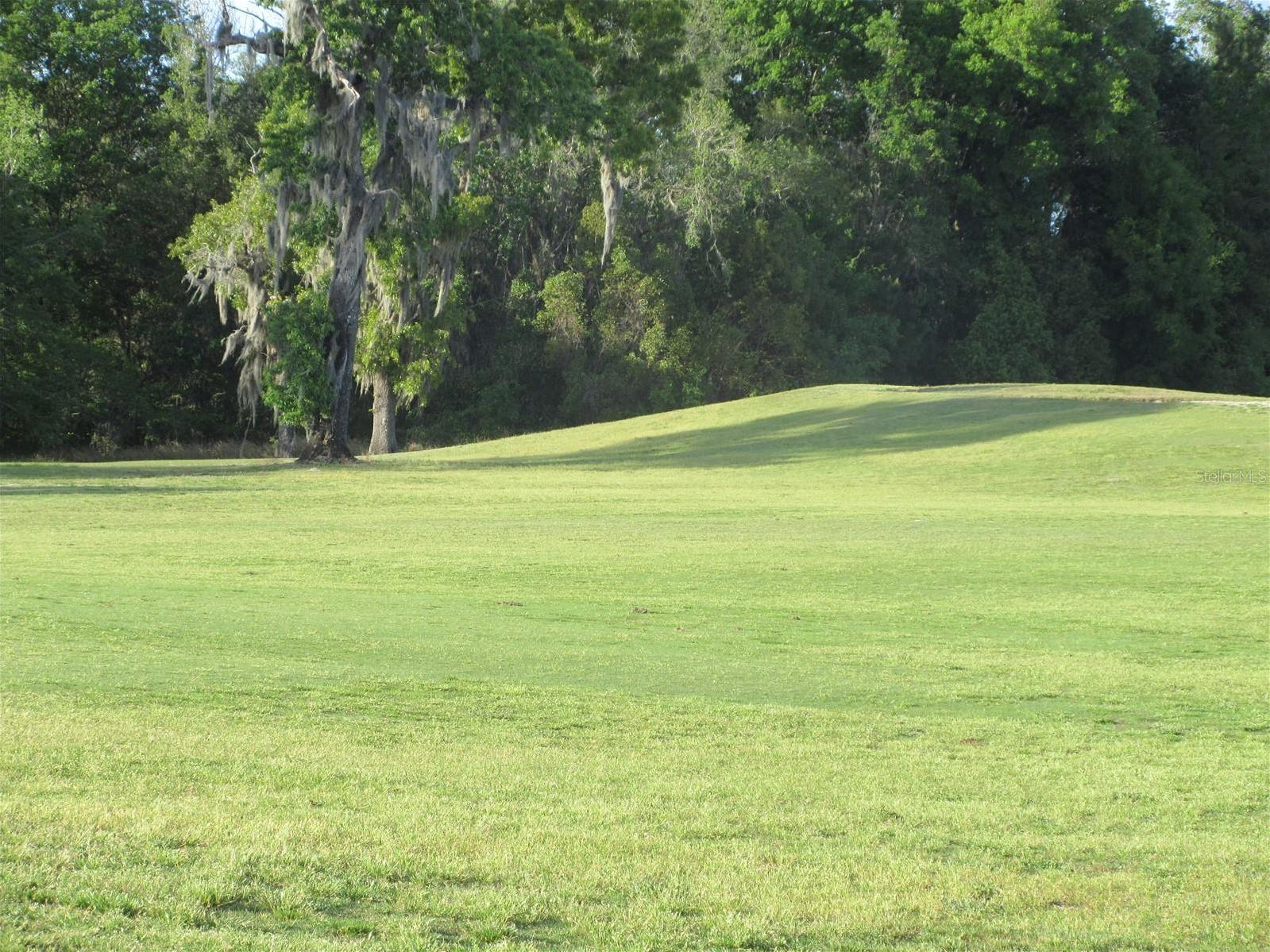Photo #61