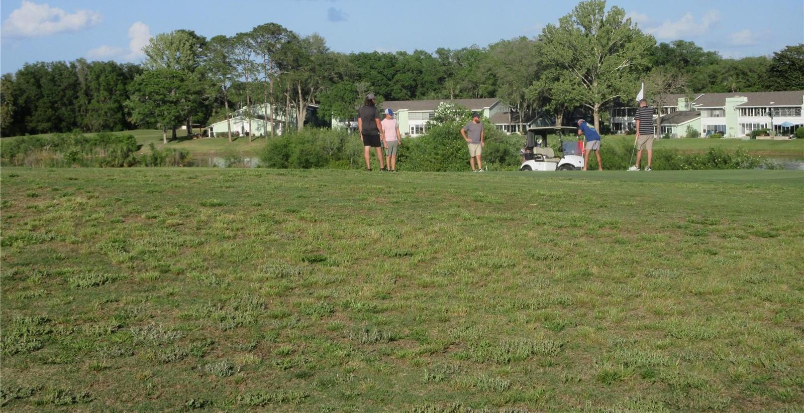 Photo #49