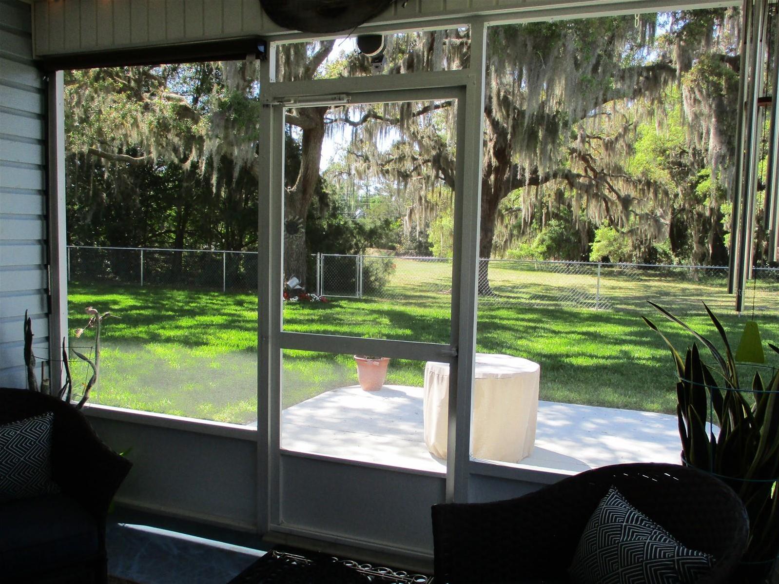 Photo #24