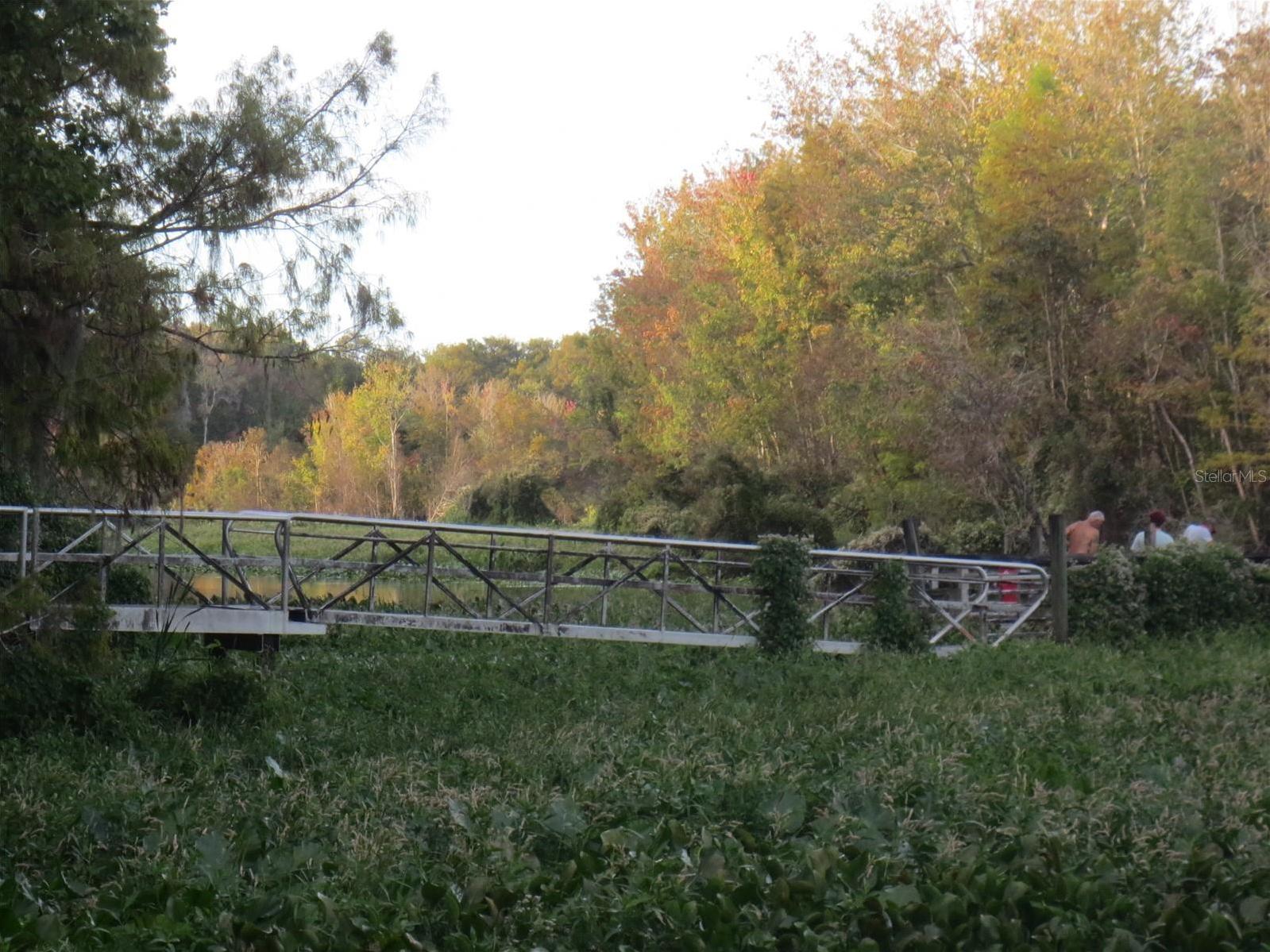 Photo #40