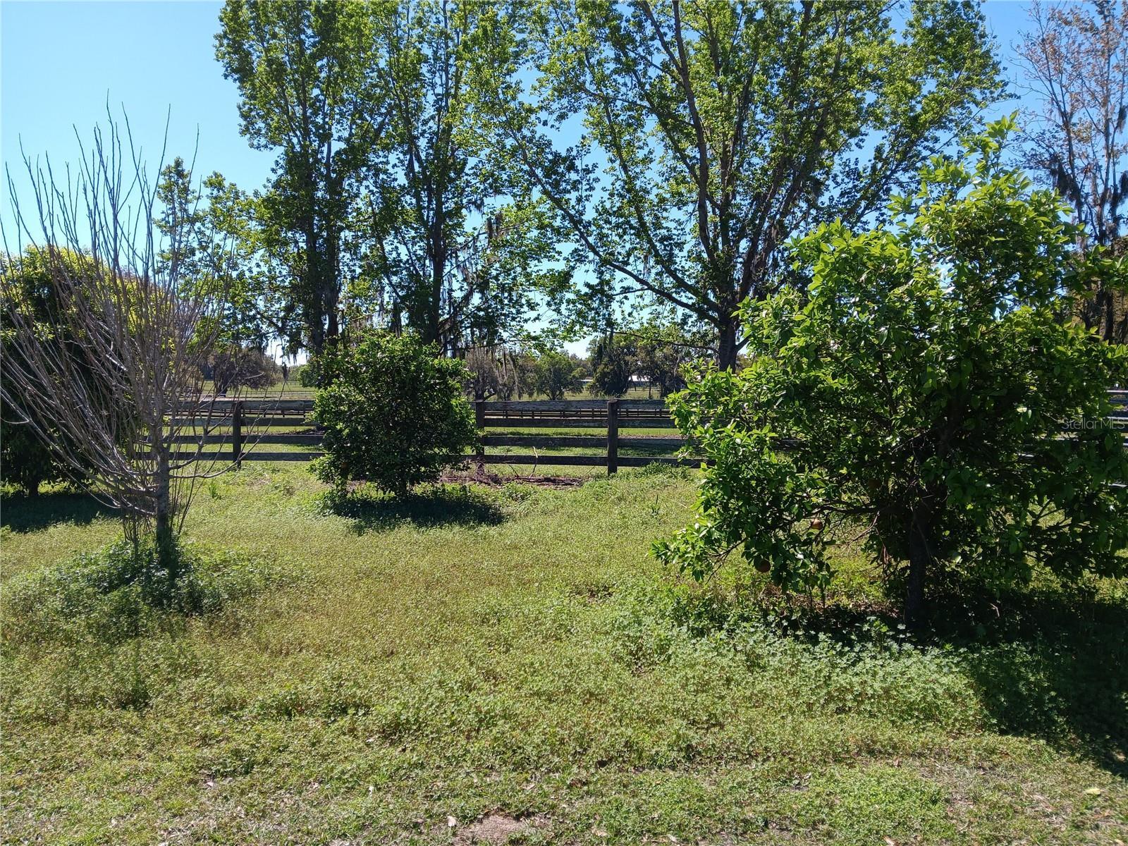 Photo #23