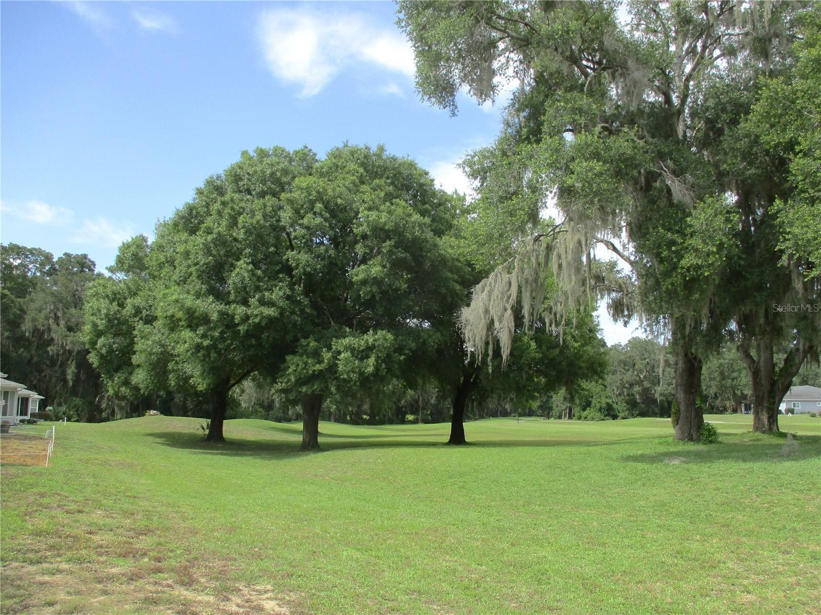 Photo #49