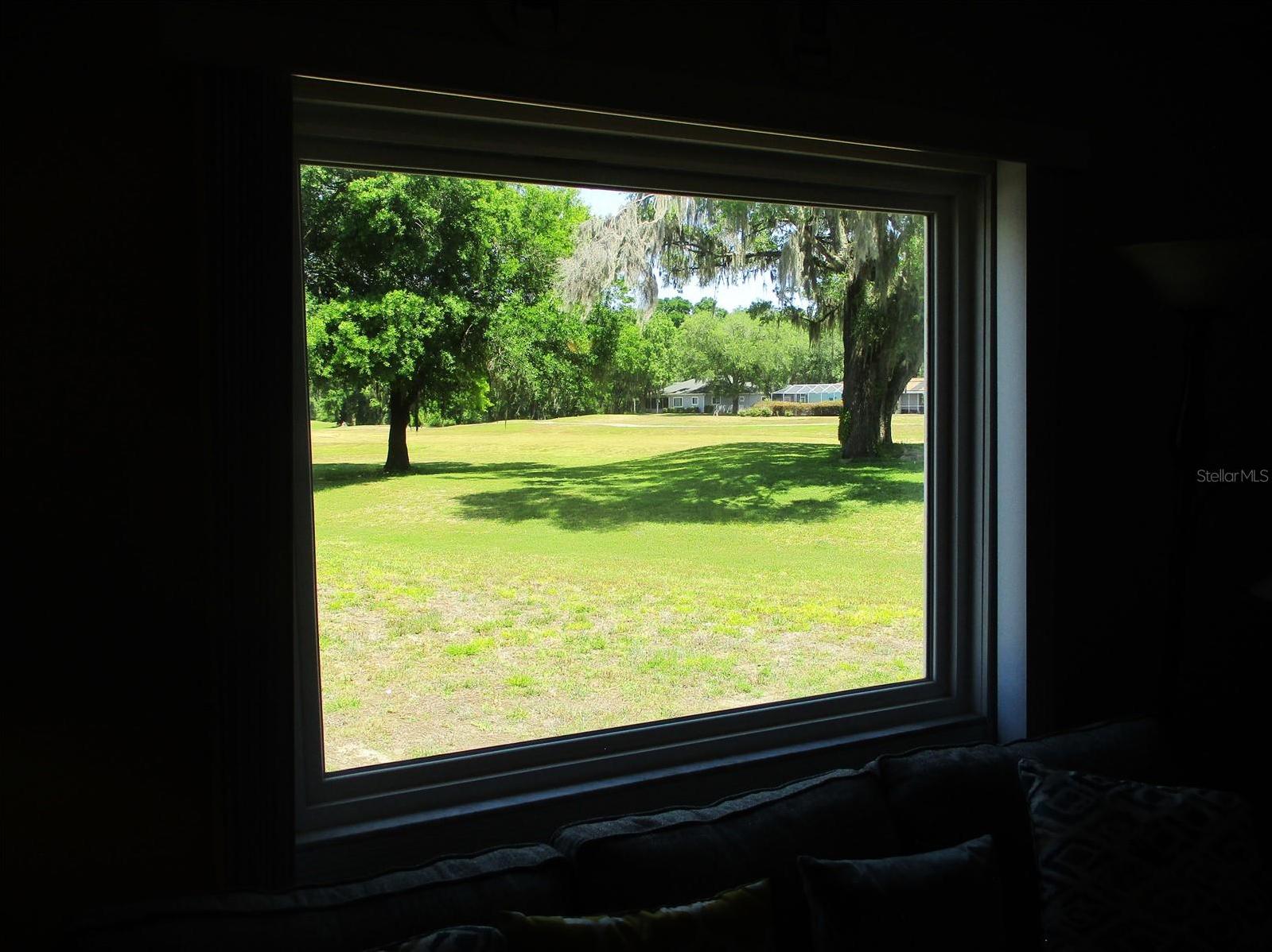 Photo #14