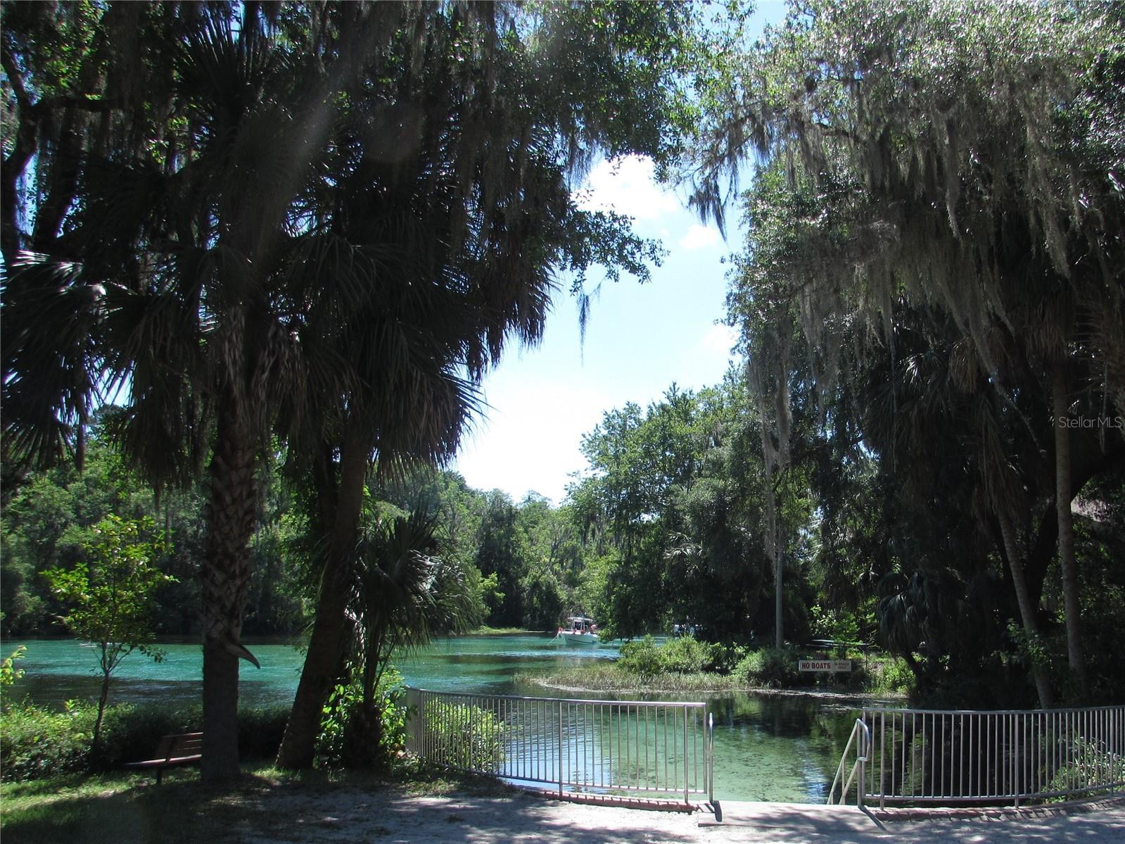 Photo #41