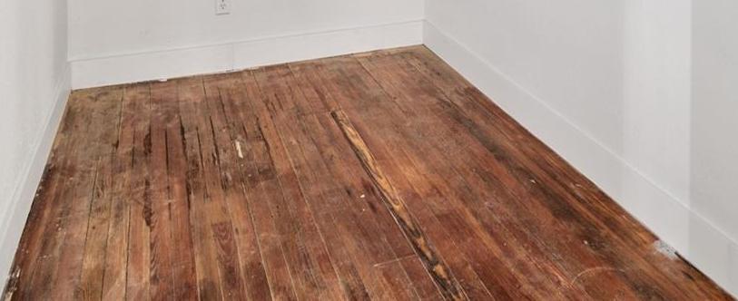 Photo #19