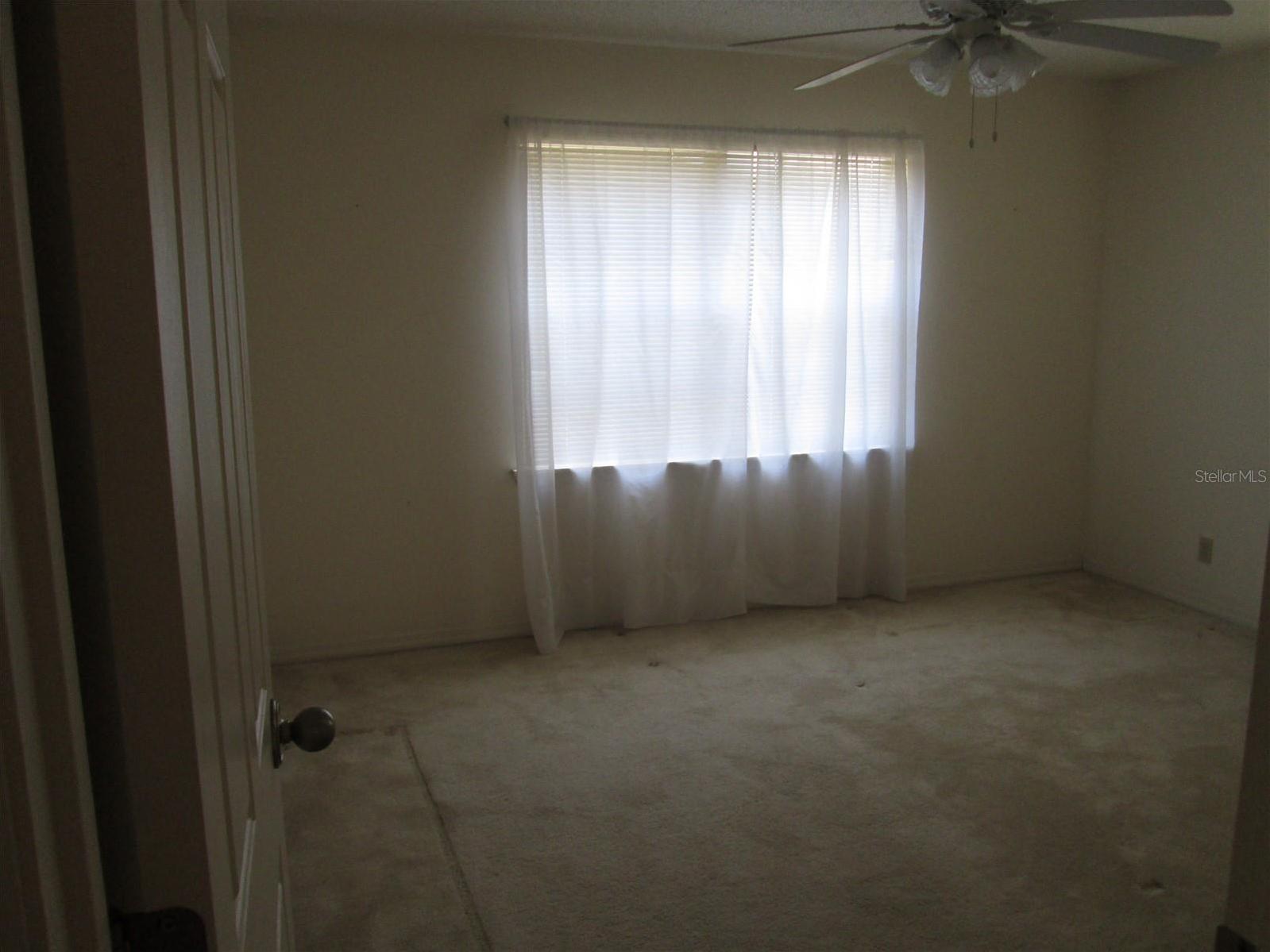 Photo #14