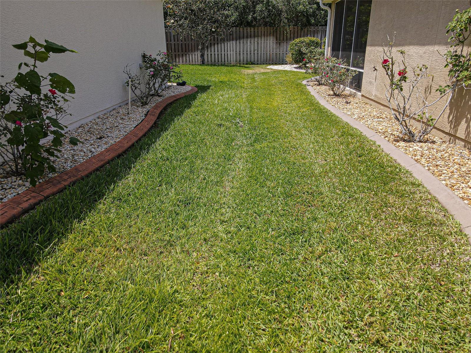Photo #8