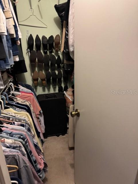 Photo #11
