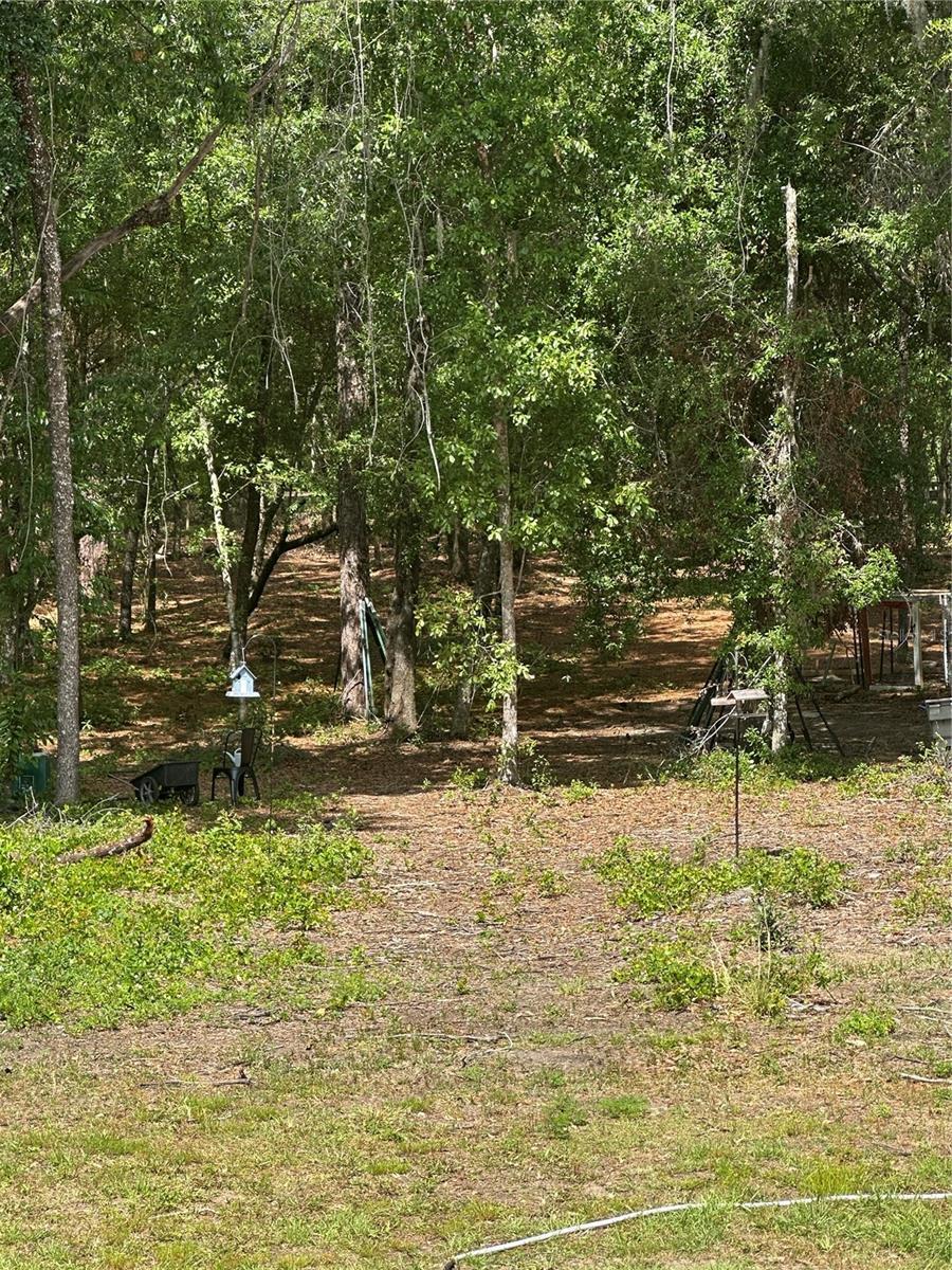 Photo #48